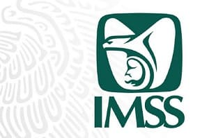 Logo IMSS